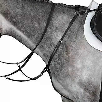 Collegiate breast plate for sale online USA