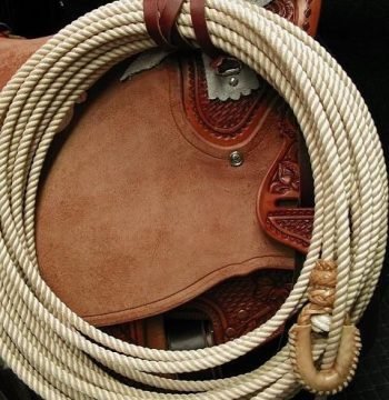 592898b978d30a7c7d2ca18c2e7a8fc7